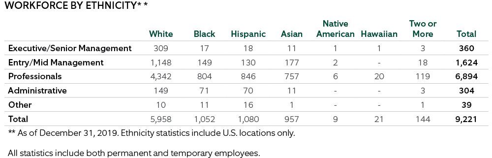2019 CSR Report - Ethnicity - Image