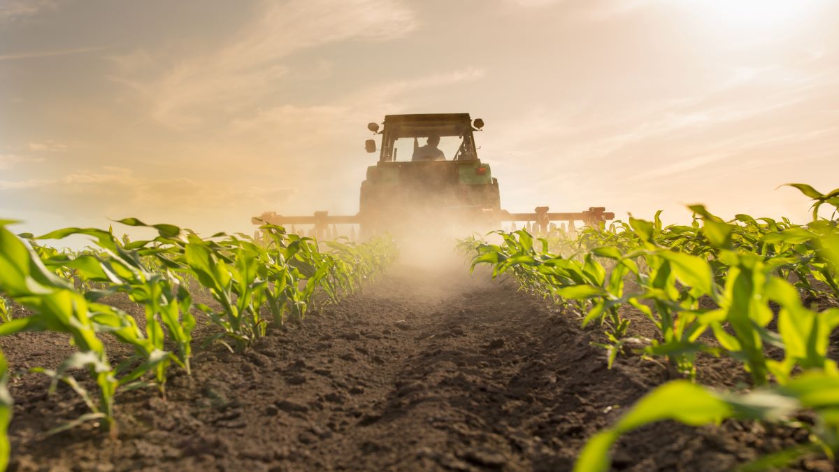 Farming Farming